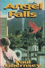 Angel Falls: A Novel – GOOD