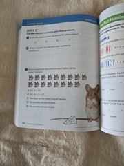 i-Ready Classroom Mathematics Grade 2 / Volume 2 – Curriculum Associates New