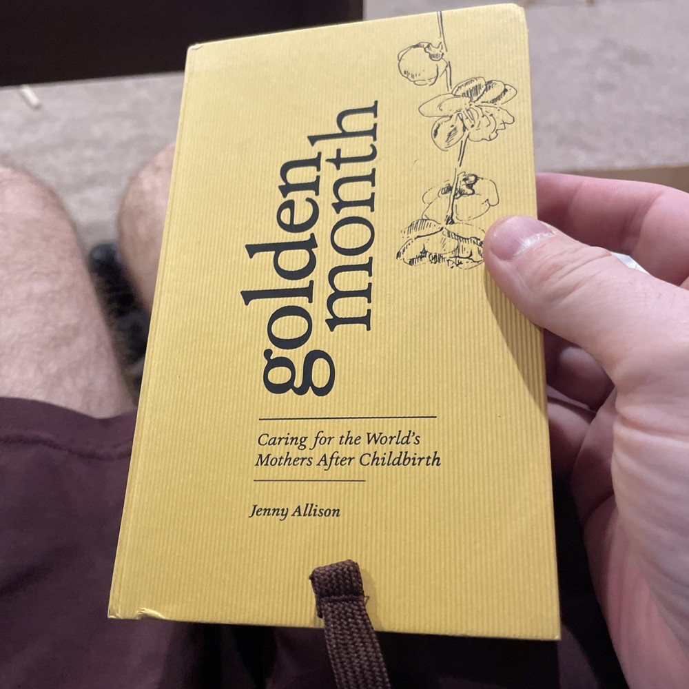 Golden Month: Caring for the World’s Mothers After Childbirth by Jenny Allison