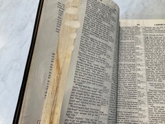 NIV Classic Reference Bible 1988 Top Grain Genuine Leather Text 1984