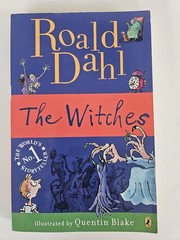Roald Dahl LOT 10 Books Twits Charlie Witches Boy BFG Mr Fox Magic Finger EXC