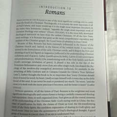 ROMANS, GALATIANS (CORNERSTONE BIBLICAL COMMENTARY) By Gerald Borchert & Roger