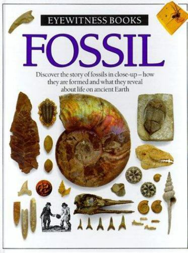 Fossil by Paul D. Taylor