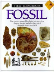 Fossil by Paul D. Taylor