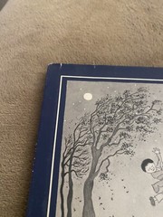 NIGHTDANCES By James Skofield – Hardcover – Good – 1981