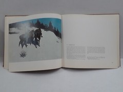 FREDERICK REMINGTON by Peter Hassrick 1973 HC Illustrated 13.5 x 12.25 in
