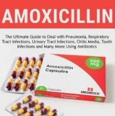 Paul Sullivan Amoxicillin (Paperback) (UK IMPORT)