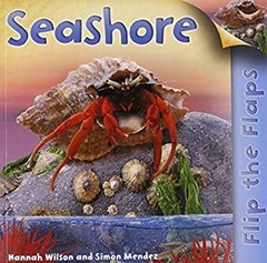 Flip the Flaps: Seashore Picture Book Hannah, Mendez, Simon Wilso