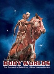 Body Worlds The Original Exhibition of Real Human Bodies – Catalog – VERY GOOD