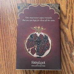 Fairyloot The Familiar Leigh Bardugo