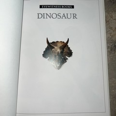 Vintage 1989 Dinosaur Museum Education Learning Book Hardcover