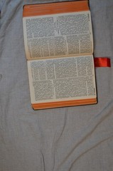 Saint Joseph New Catholic Edition Holy Bible Confraternity 1962 Vintage