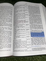 NIV Prophecy Marked Reference Study Bible 1998 Hardcover Text 1984