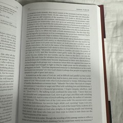 ROMANS, GALATIANS (CORNERSTONE BIBLICAL COMMENTARY) By Gerald Borchert & Roger