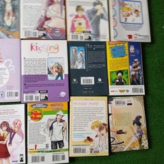 VTG LOT OF 31 MANGA BOOKS 2000S UP NICE LOT MIX UC READ DESCRIPTION