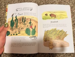 Julia Rothman Nature Anatomy Illustrated Trade Paperback 2015