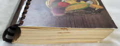 Vintage Cookbook A TASTE OF GEORGIA Southern Living Edition 1990 592 Pages YUM