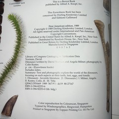 Vintage 1989 Dinosaur Museum Education Learning Book Hardcover