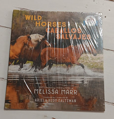 Wild Horses / Caballos Salvajes Melissa Marr HC English/Spanish