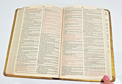 Holy Bible Red Letter Edition Gold Nelson KJV Life & Style (163SB) 1983