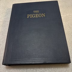 Pigeon by Wendell M. Levi (Hardcover 1998 Reprinted Edition) No DJ