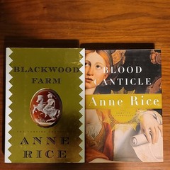 Anne Rice Vampire & Witch Chronicles + Other Books (1st Edition HB) PB Lot of 20