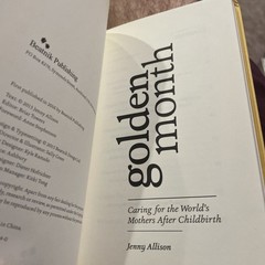 Golden Month: Caring for the World’s Mothers After Childbirth by Jenny Allison
