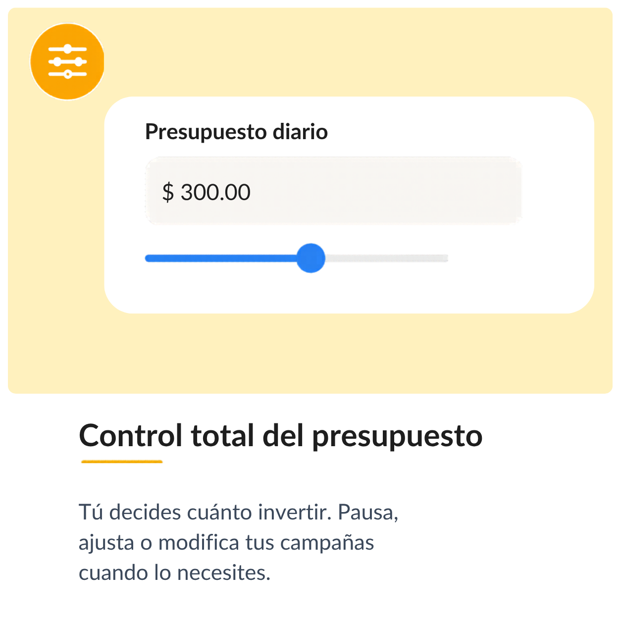 Especialistas en google ads